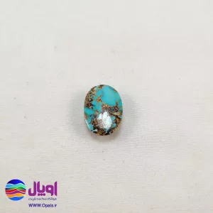 خرید نگین فیروزه شجری-1